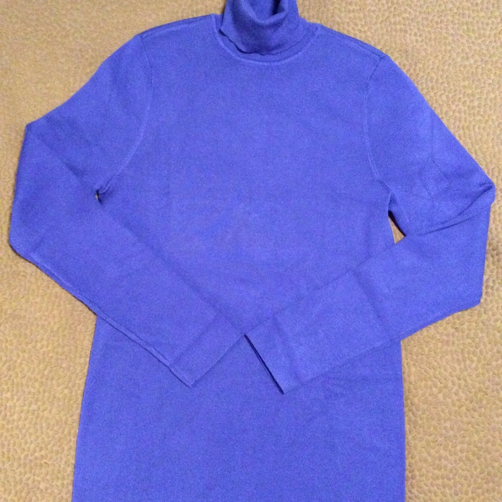 Chico’s purple/Blue Turtleneck